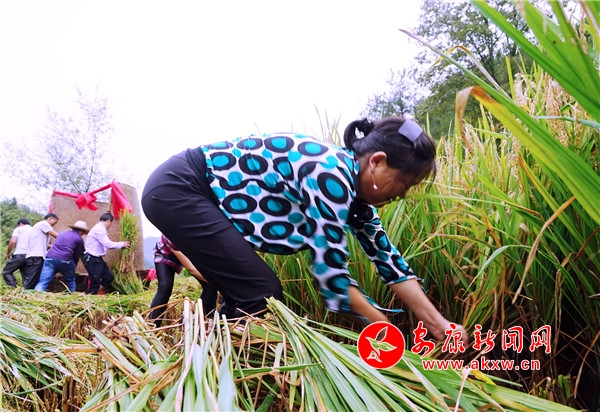 6.ڬF(xin)ֻҊ10λֳץһRĔ[“”Ҋp