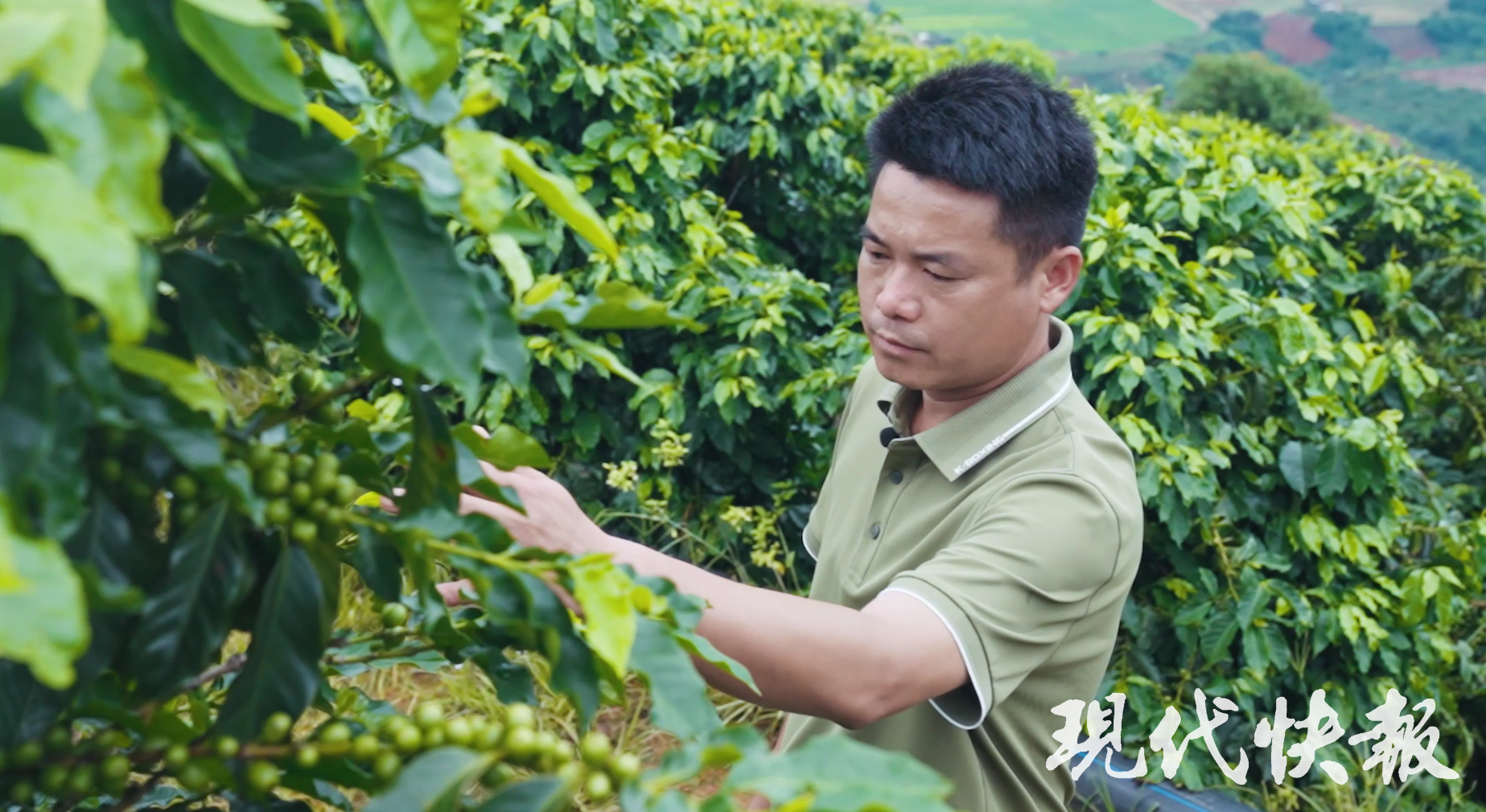 163368_d562eec6-e692-473f-a33f-2f55866f85ce_batchwm1923292.p