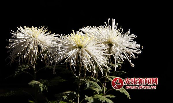 10京`ŵľջ鿶bȻһʒɪͼζɢl(f).jpg